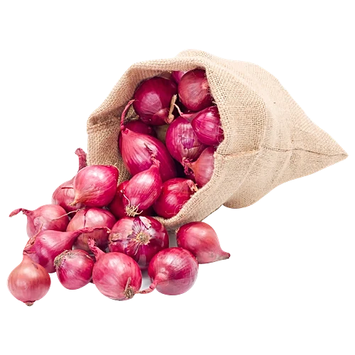 Onion