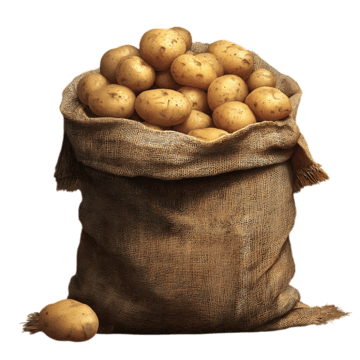 Potato